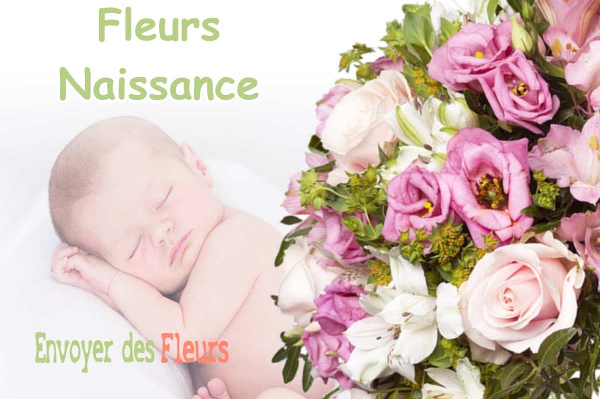 lIVRAISON FLEURS NAISSANCE à PUYMAURIN