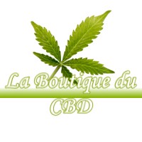 LA BOUTIQUE DU CBD PUYMAURIN 